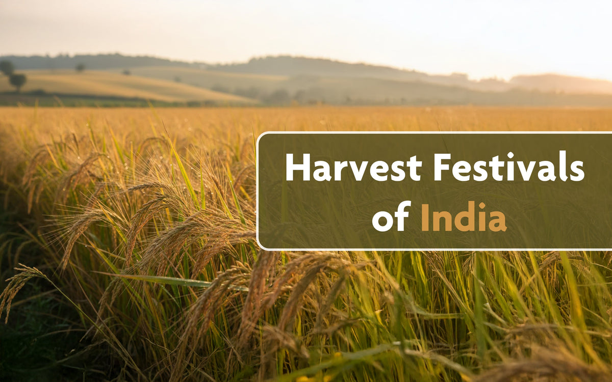 Harvest Festivals of India - Discover How Every Region Welcomes the Ha ...