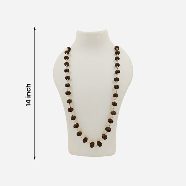 6 Face Rudraksha Silver Maala