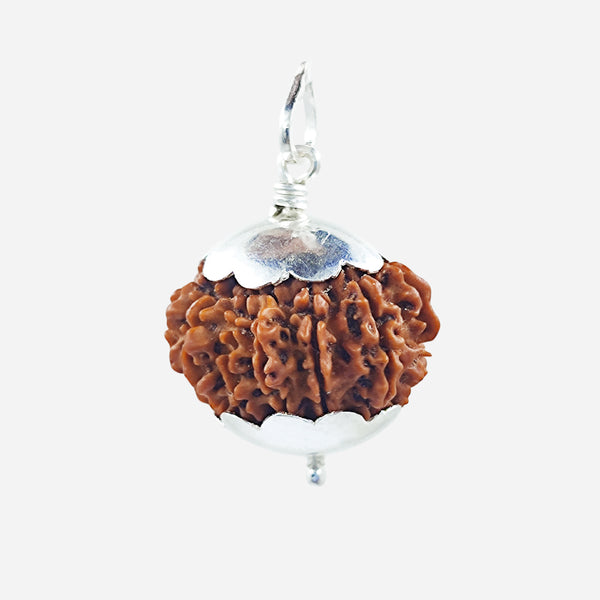 10 Face Rudraksha Bead