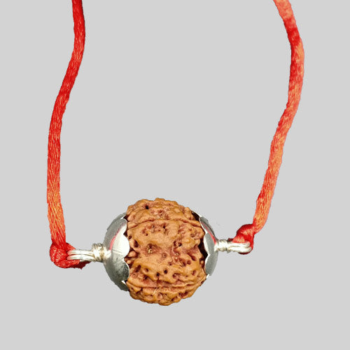 5  Face Rudraksh With Skin main image 0