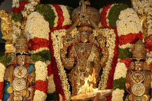 ఏకాదశి రోజులలో ఉపవాసం చేయడం ద్వారా గొప్ప శక్తులను పొందవచ్చు
