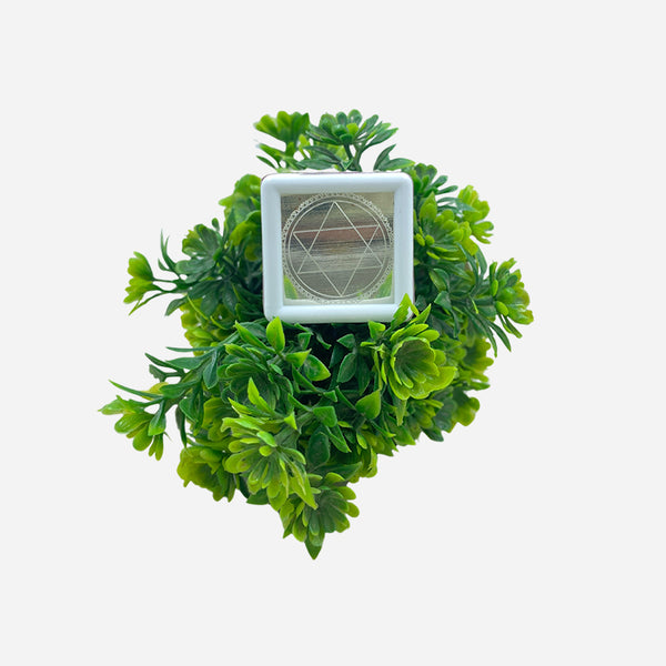 Sudarshana Chakra Yantram in Silver (Pocket-sized)