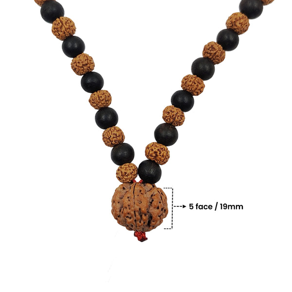 Close-up of the mala necklace center pendant, featuring a large textured brown 5 face Rudraksha bead measuring 19mm, tied with a red thread.
