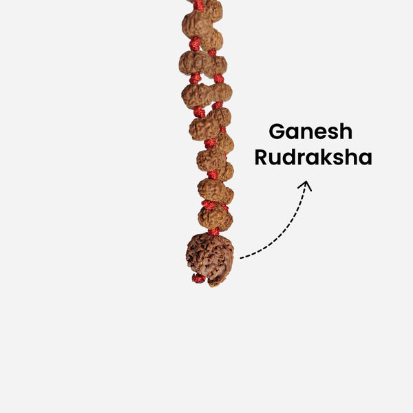 Dhan Siddhi Wealth Rudraksha Mala
