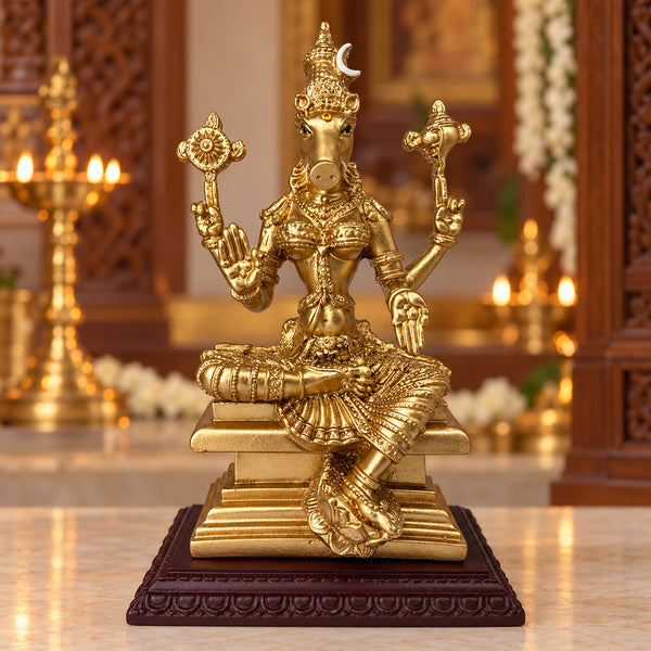 Fiber resin Varahi Amman statue in gold finish seated on a stepped pedestal with wooden base