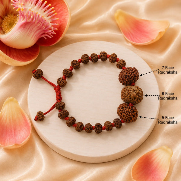 Labeled image showing 7 Face (Lakshmi), 8 Face (Ganesha), and 5 Face (Shiva) Rudraksha beads on an adjustable bracelet.