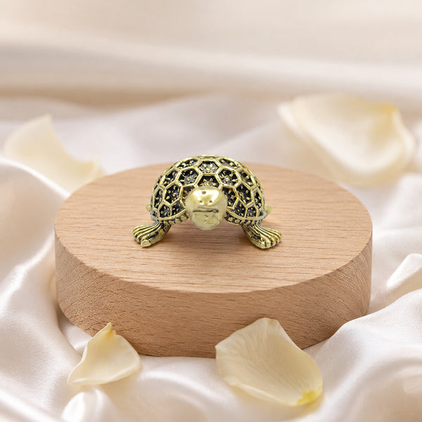 Front view of the brass kachua showing detailed honeycomb shell patterns.
