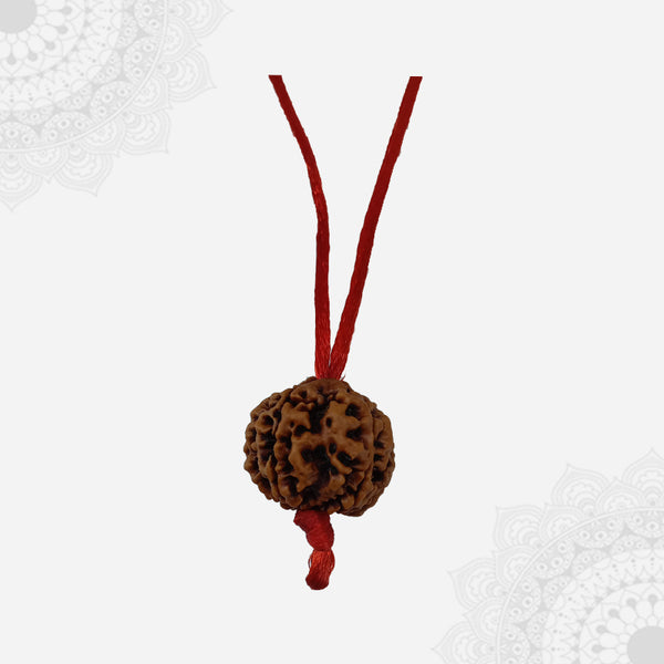 5 Face Rudraksha