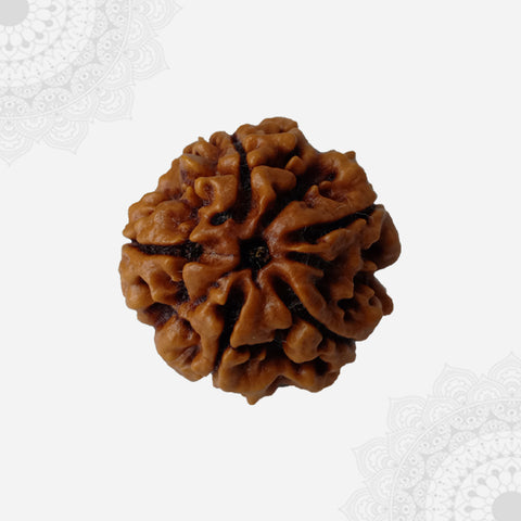 5 முகம் ருத்ராக்ஷம் வெள்ளி 
