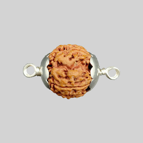 5 Face Rudraksha